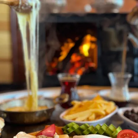 Hayatburda Rize
