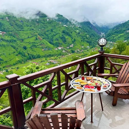 Hayatburda * Rize