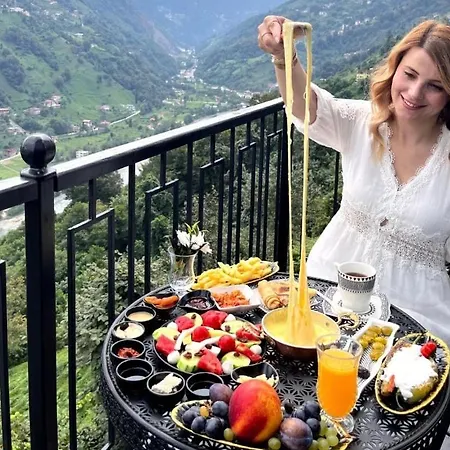 Hayatburda Country house Rize