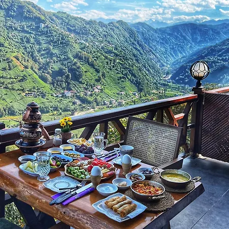 Country house Hayatburda *